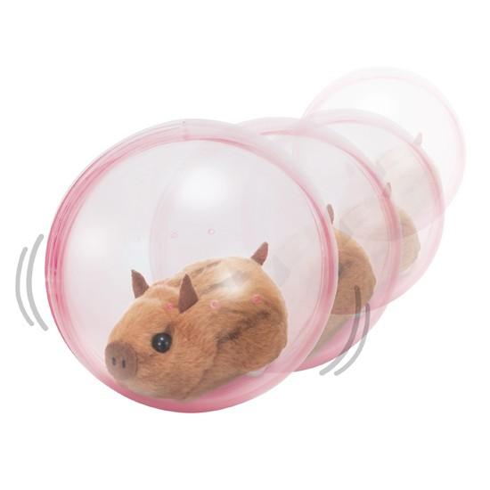 イワヤ ランランうりぼーず Iw ソプラノyahoo 店 通販 Yahoo ショッピング