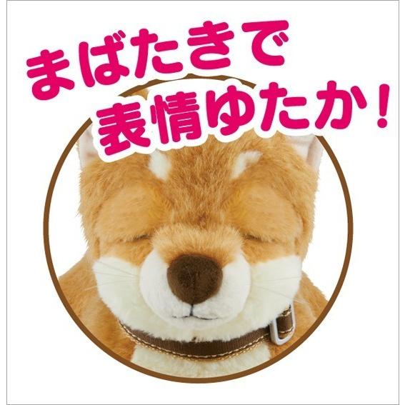 なごみケーションわんこ　イワヤ イワヤ] なごみケーションわんこ 柴犬: ネットデパート｜トキハ