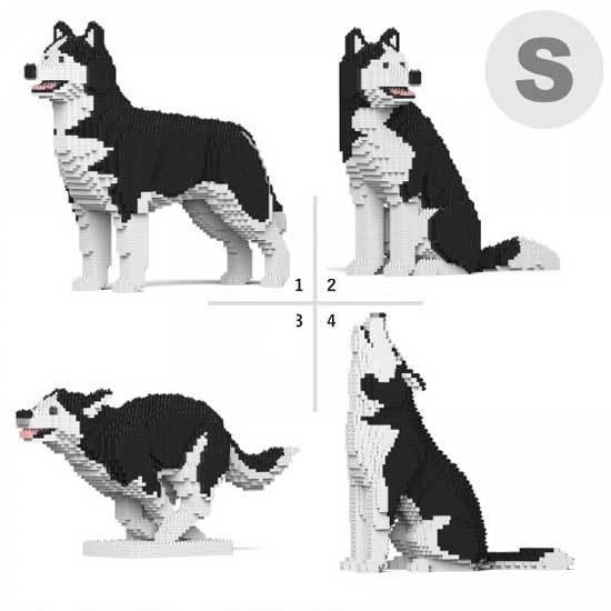 ティラノサウルス 骨格 壁掛け フレーム 恐竜 フェイバリット