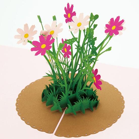 Waopop ワオポップ ポップアップカード コスモス グリーティングカード Ko Epa009 ソプラノyahoo 店 通販 Yahoo ショッピング