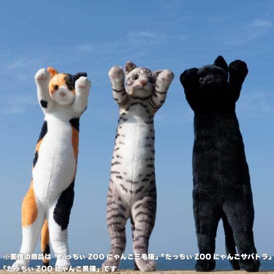 たっちぃZoo にゃんこ 三毛猫 猫のぬいぐるみ : ソプラノYahoo たっちぃZoo にゃんこ 三毛猫 猫のぬいぐるみ : ソプラノYahoo