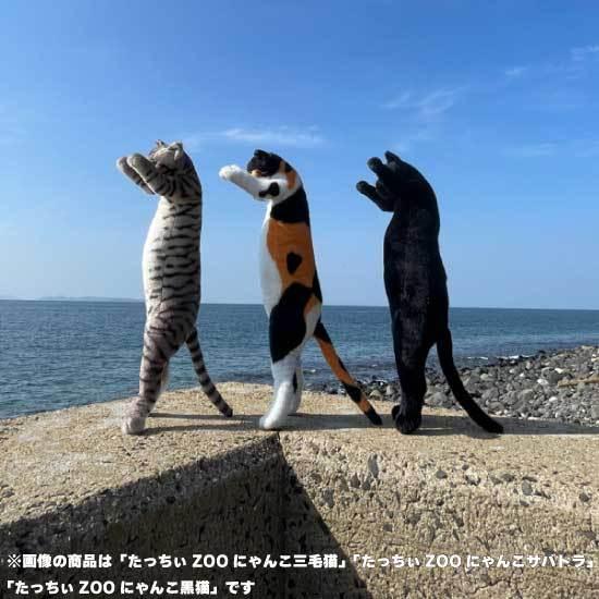 たっちぃZoo にゃんこ 三毛猫 猫のぬいぐるみ : ソプラノYahoo!店