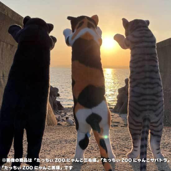 たっちぃZoo にゃんこ 黒猫 猫のぬいぐるみ : ソプラノYahoo!店 たっちぃZoo にゃんこ 黒猫 猫のぬいぐるみ : ソプラノYahoo!店