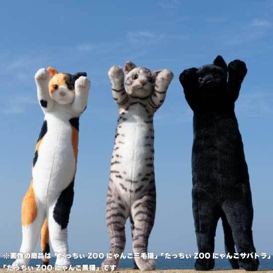 たっちぃZoo にゃんこ ぶち猫 猫のぬいぐるみ : ソプラノYahoo!店