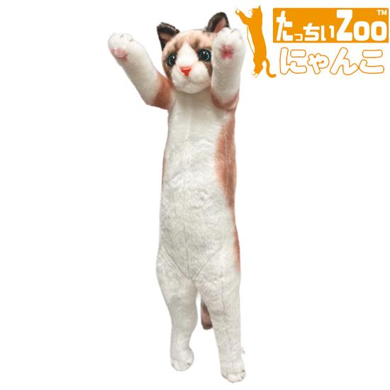 たっちぃZoo にゃんこ ラグドール 猫のぬいぐるみ : ソプラノYahoo!店