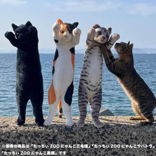 たっちぃZoo にゃんこ 覆面猫 猫のぬいぐるみ 白黒ねこ : ソプラノ