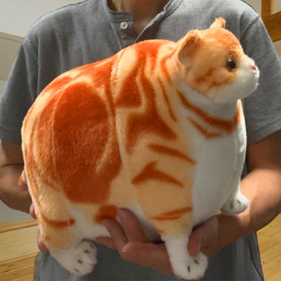 ふとっちぃZoo にゃんこ アメリカンショートヘアレッドタビー 猫の