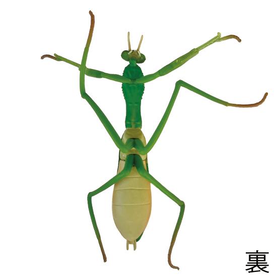 ミュージアム 昆虫フィギュア オオカマキリ かまきり : ソプラノYahoo