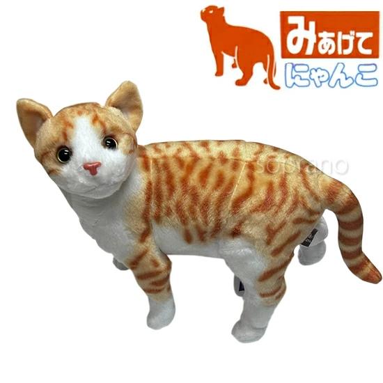 みあげてにゃんこ アメリカンショートヘアー 猫のぬいぐるみ