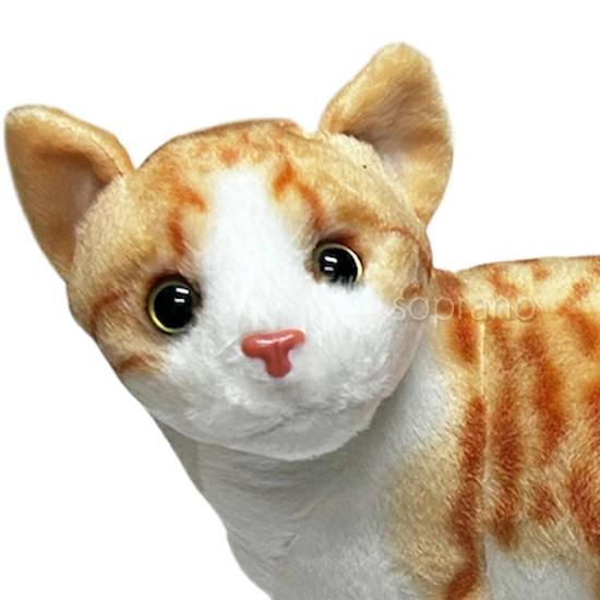 みあげてにゃんこ アメリカンショートヘアー 猫のぬいぐるみ