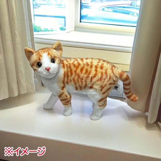 みあげてにゃんこ アメリカンショートヘアー 猫のぬいぐるみ