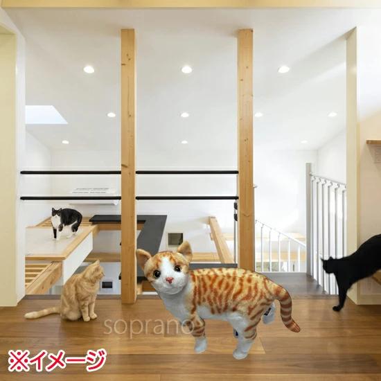 みあげてにゃんこ アメリカンショートヘアー 猫のぬいぐるみ