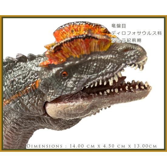 papo パポ 恐竜フィギュア 55035 ディロフォサウルス : ソプラノYahoo