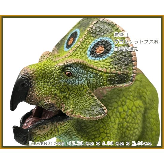 恐竜　フィギュア papo パポ 恐竜フィギュア 55064 プロトケラトプス : ソプラノYahoo!店