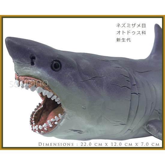 papo パポ 恐竜フィギュア 55087 メガロドン : ソプラノYahoo!店
