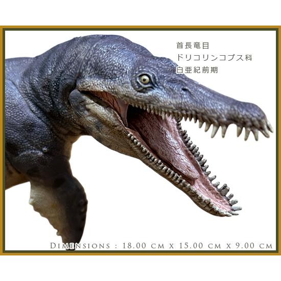 papo パポ 恐竜フィギュア 55089 クロノサウルス : ソプラノ papo パポ 恐竜フィギュア 55089 クロノサウルス : ソプラノ