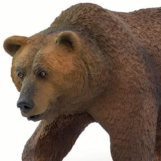 サファリ社フィギュア ワイルドライフワンダーズ グリズリーベア Tst ソプラノyahoo 店 通販 Yahoo ショッピング