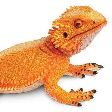 サファリ社フィギュア 263129 フトアゴヒゲトカゲ :TST-263129:ソプラノYahoo!店 - Soprano Tst 263129