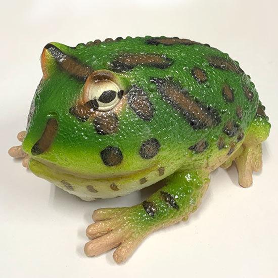 リアルな両生類フィギュア Lanka ランカ ラテックス ベルツノガエル 天然ゴム製ぬいぐるみ Tst Ln ソプラノyahoo 店 通販 Yahoo ショッピング