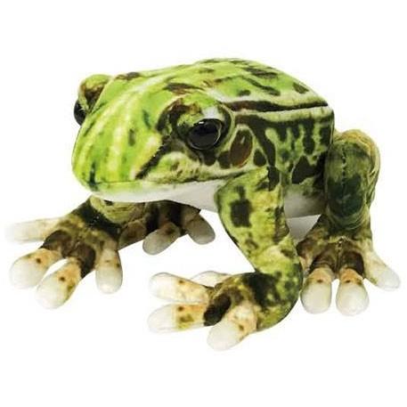 Wild Graphy ワイルドグラフィ トノサマガエル カエル ぬいぐるみ Tst Sa028 ソプラノyahoo 店 通販 Yahoo ショッピング