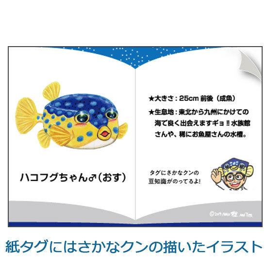 さかなクンプロデュース おさかなぬいぐるみ ハコフグ オス ワイルドグラフィ Tst Sk002c ソプラノyahoo 店 通販 Yahoo ショッピング