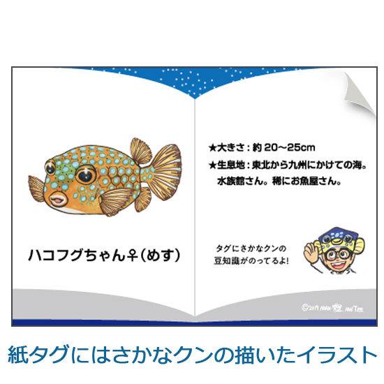 さかなクンプロデュース おさかなぬいぐるみ ハコフグ メス ワイルドグラフィ Tst Sk003 ソプラノyahoo 店 通販 Yahoo ショッピング