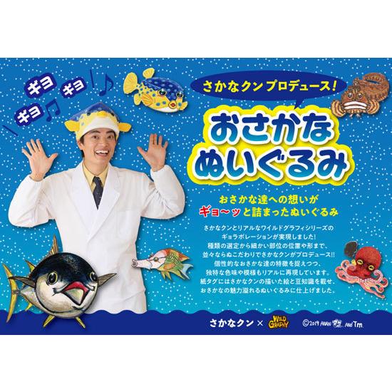 さかなクン おさかなぬいぐるみ ヒラメ Wild Graphy ワイルドグラフィ Tst Sk005 ソプラノyahoo 店 通販 Yahoo ショッピング