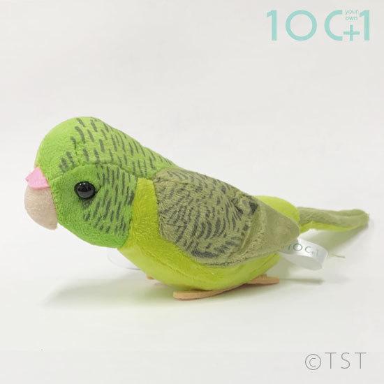 ポイント10倍 期間限定 ぬいぐるみ100+1 101 サザナミインコ SM144｜soprano