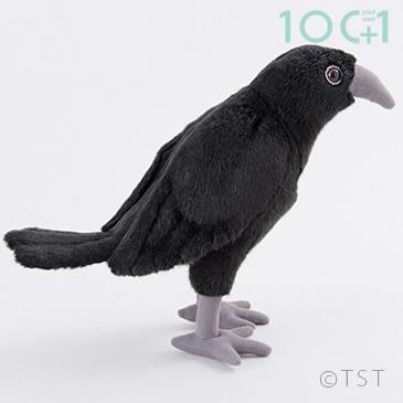 ぬいぐるみ101 カラス Tst Sm237 ソプラノyahoo 店 通販 Yahoo ショッピング