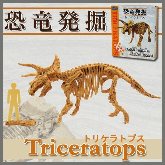 恐竜発掘セット トリケラトプス 骨格恐竜 化石模型 Ya ソプラノyahoo 店 通販 Yahoo ショッピング