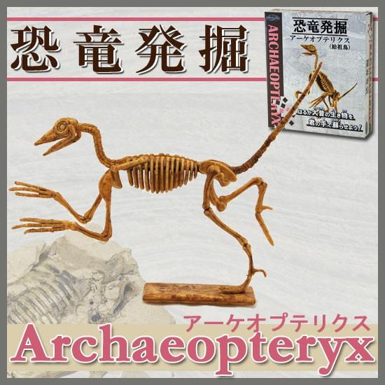 恐竜発掘セット アーケオプテリクス 始祖鳥 骨格恐竜 化石模型 Ya 8015 ソプラノyahoo 店 通販 Yahoo ショッピング