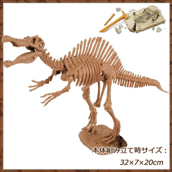 ポイント10倍 期間限定 ジオワールド社 恐竜発掘キット スピノサウルス｜soprano｜02