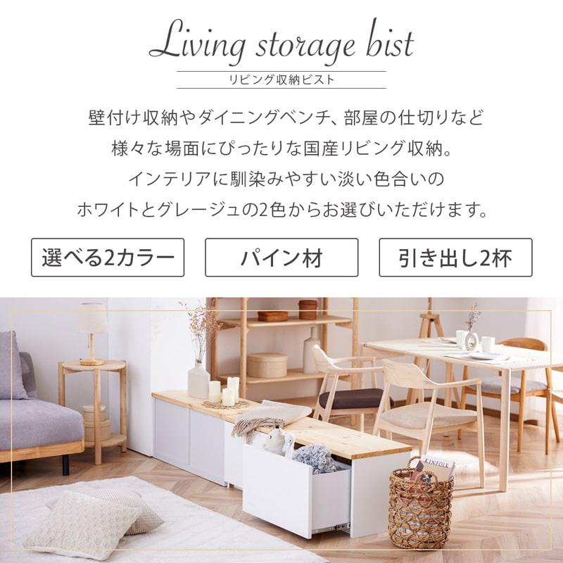 Living&Journey ベンチ収納 90cm 国産 完成品 ダイニングベンチ Living&Journey ベンチ収納 90cm 国産 完成品 ダイニングベンチ