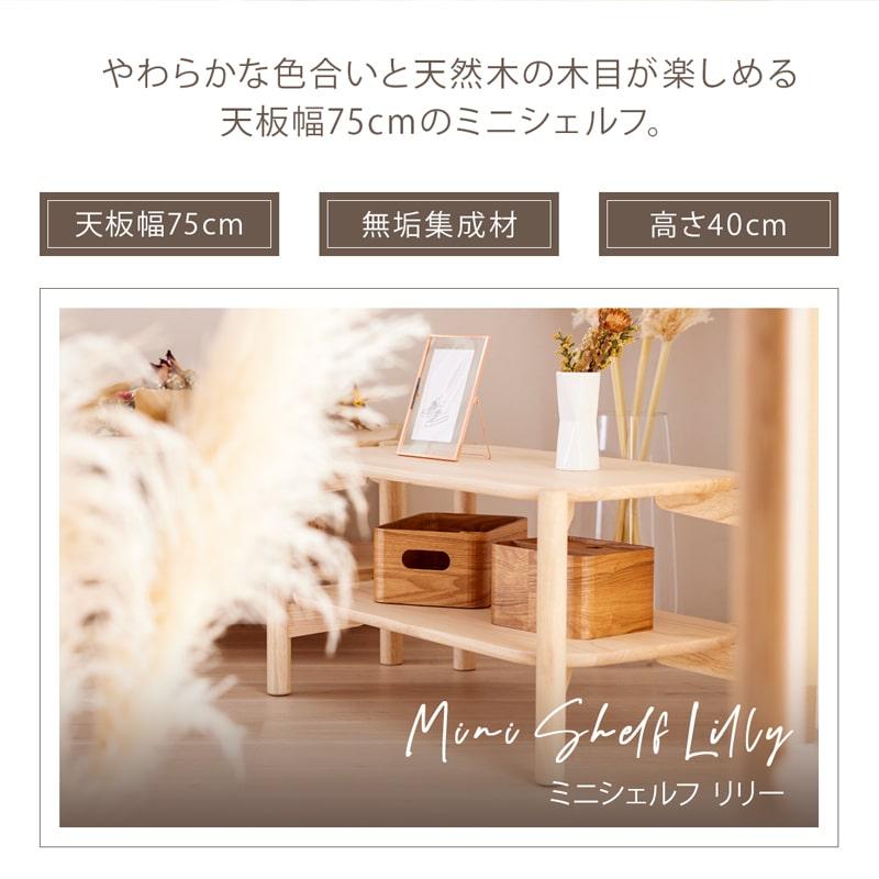 Living＆Journey（リビングアンドジャーニー） シェルフ コンパクト