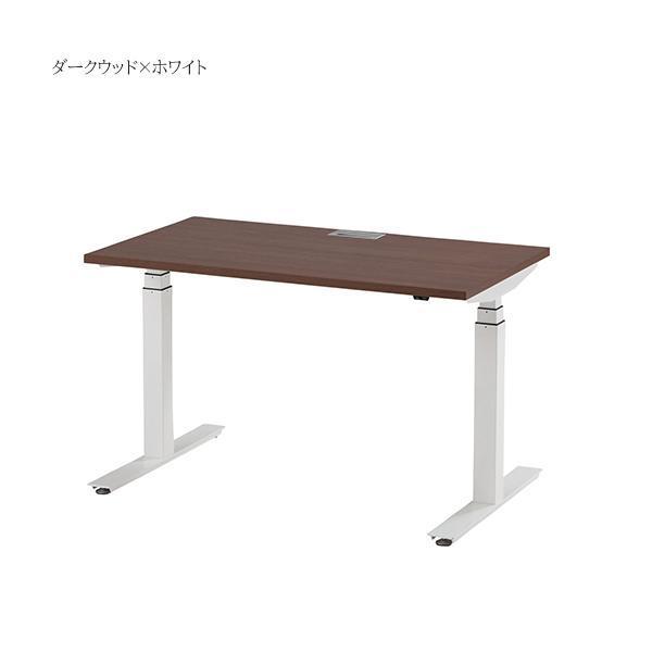 電動昇降デスク W1200×D700×H650〜1250 昇降デスク ワークデスク 電動