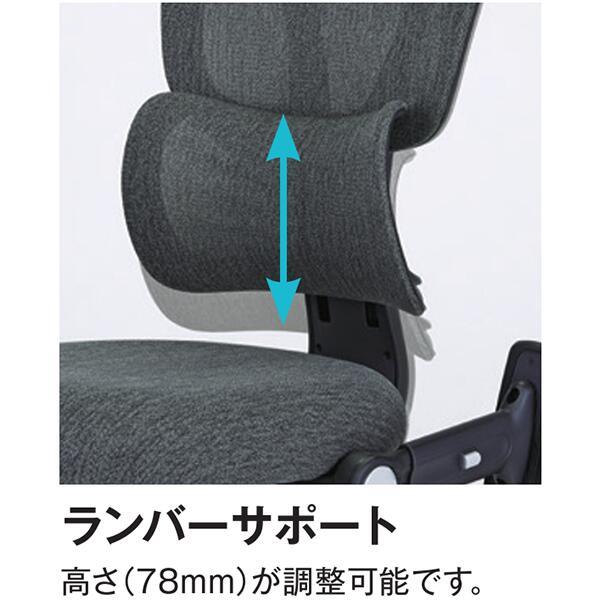 オフィスチェア メッシュ 耐圧分散 ランバーサポート 上下昇降 3D