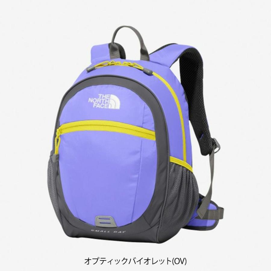 THE NORTH FACE SMALL DAY リュック子供用　15L ベアー THE NORTH FACE SMALL DAY リュック子供用15L ベアー