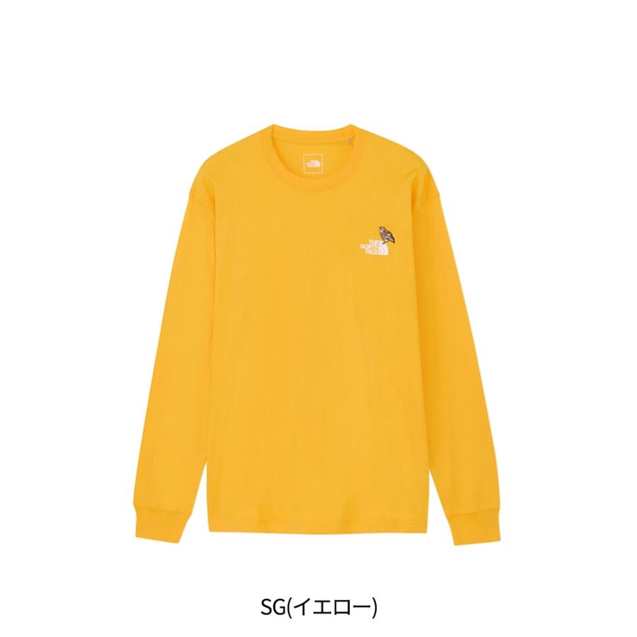 THE NORTH FACE（ザ ノースフェイス） Tシャツ カットソー メンズ