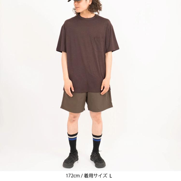 icebreaker（アイスブレーカー） アイスブレイカー Tシャツ カットソー