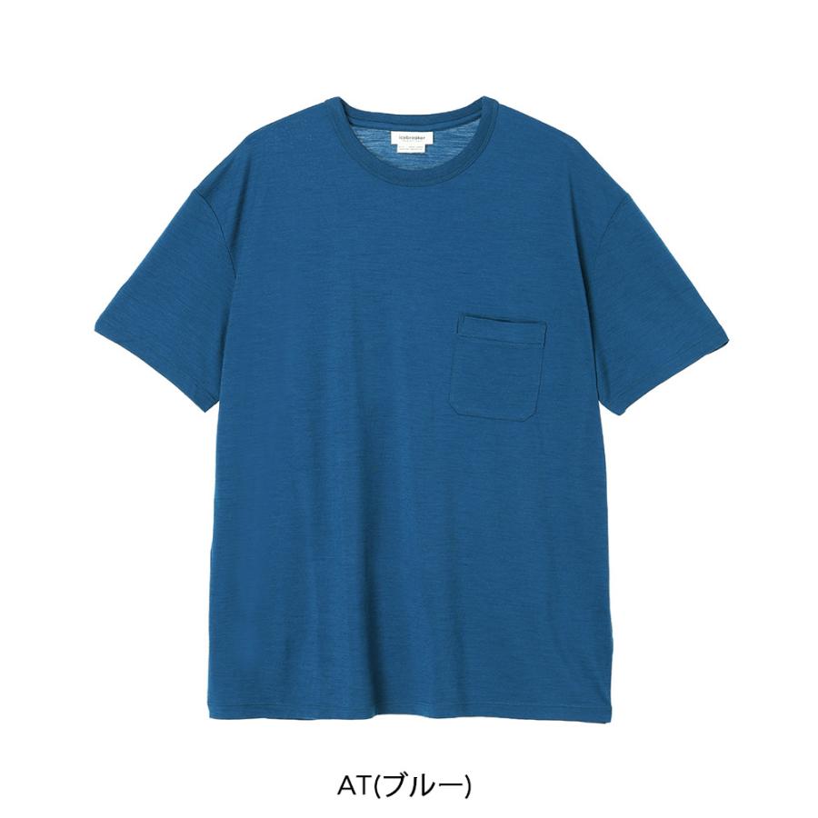 icebreaker（アイスブレーカー） アイスブレイカー Tシャツ カットソー