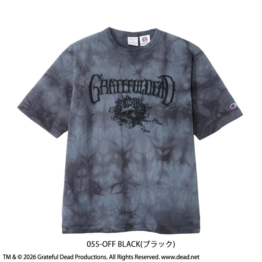 Champion（チャンピオン） Tシャツ カットソー メンズ ティーテン