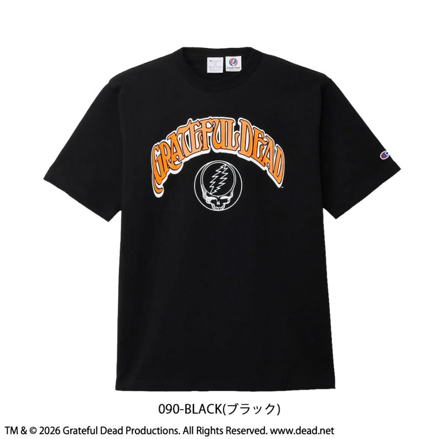 Champion（チャンピオン） Tシャツ カットソー メンズ ティーテン