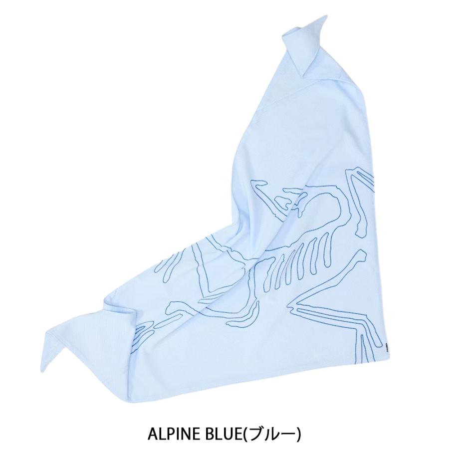ARC'TERYX（アークテリクス） バンダナ メンズ レディース シンソロ