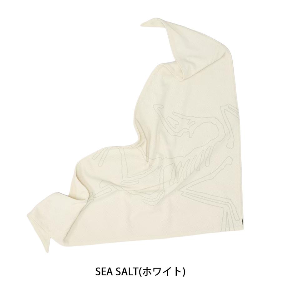 ARC'TERYX（アークテリクス） バンダナ メンズ レディース シンソロ