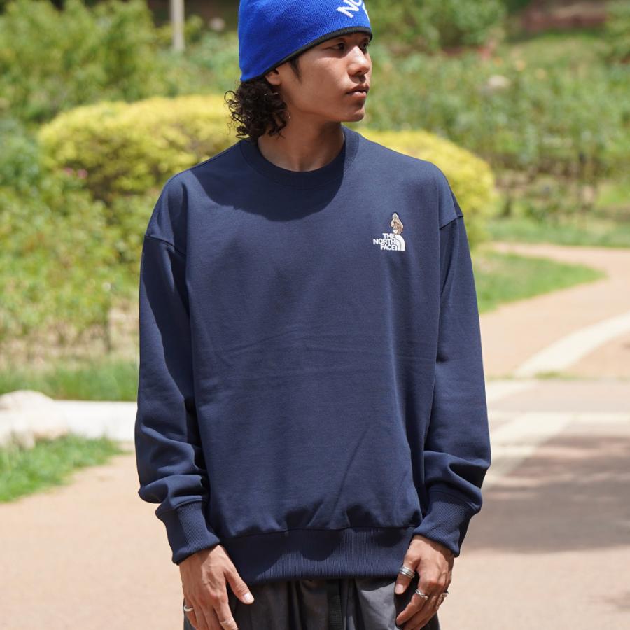THE NORTH FACE（ザ ノースフェイス） スウェット トレーナー メンズ