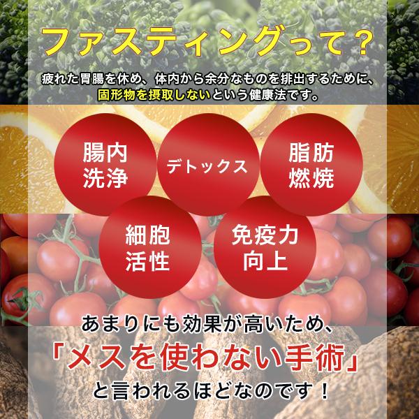 マナ酵素 ファスティングライフ MANA酵素 酵素飲料 ダイエットドリンク