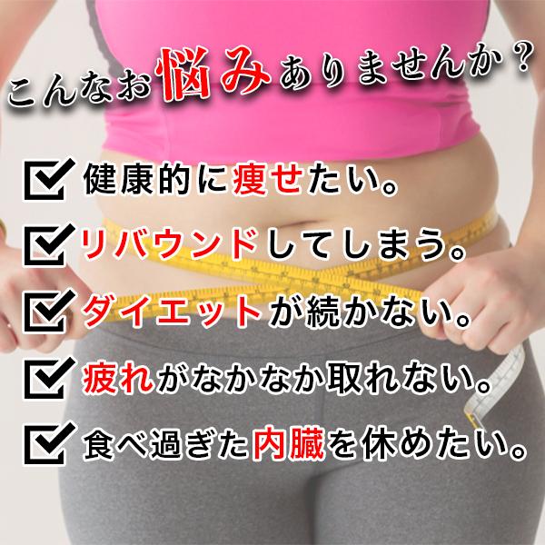 マナ酵素 ファスティングライフ MANA酵素 プログラム付き 酵素飲料