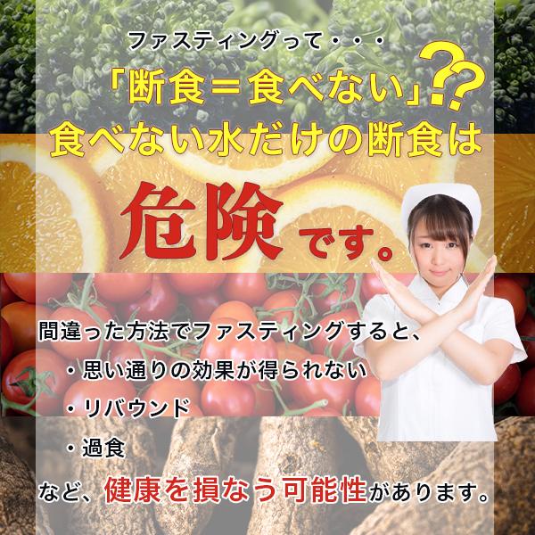 マナ酵素 ファスティングライフ MANA酵素 プログラム付き 酵素飲料