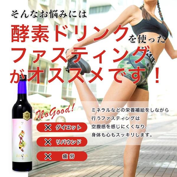 マナ酵素 ファスティングライフ MANA酵素 酵素飲料 ダイエットドリンク 500ml 1本｜sorachip｜03