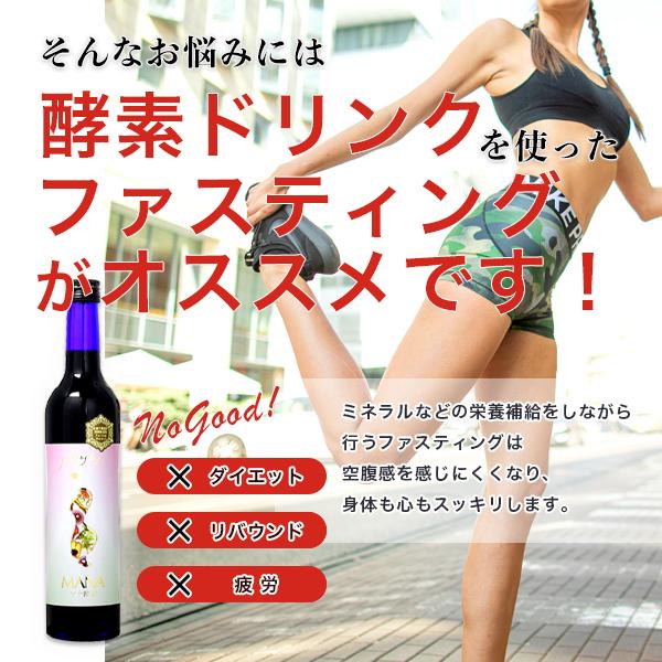 マナ酵素 ファスティングライフ MANA酵素 プログラム付き 酵素飲料